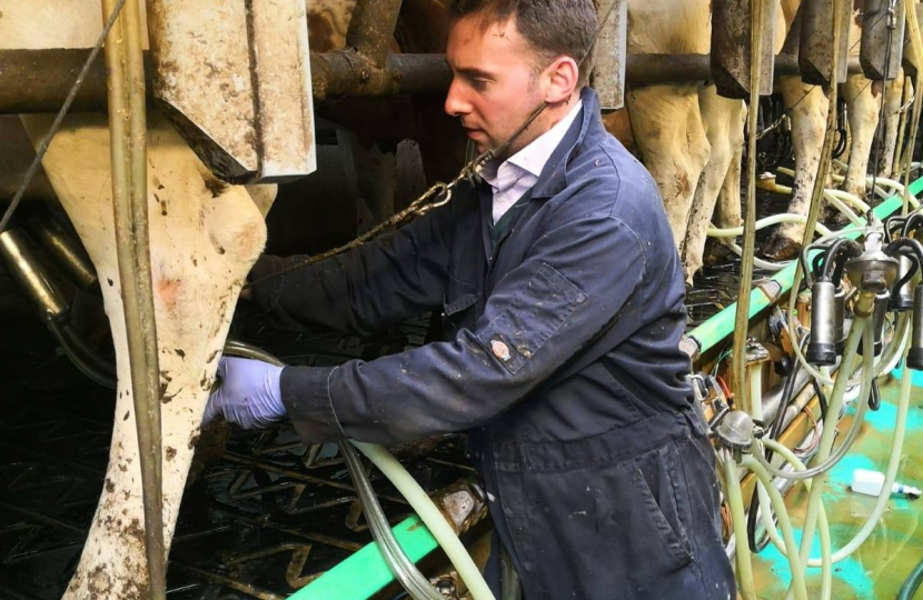 Luke working on a local farm